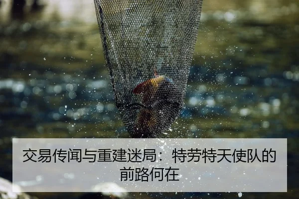 交易传闻与重建迷局：特劳特天使队的前路何在